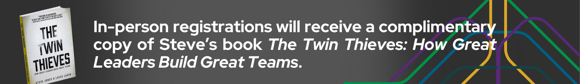 Twin Thieves Book Banner
