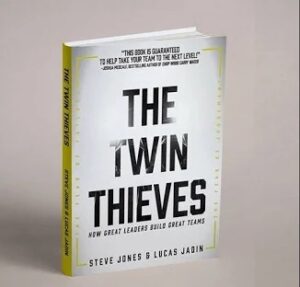 The Twin Thieves book