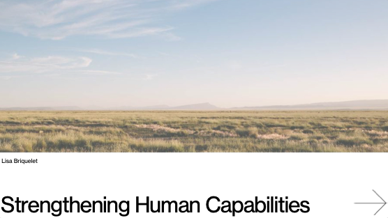 3. Slides: Strengthening Human Capabilities, Lisa Briquelet thumbnail