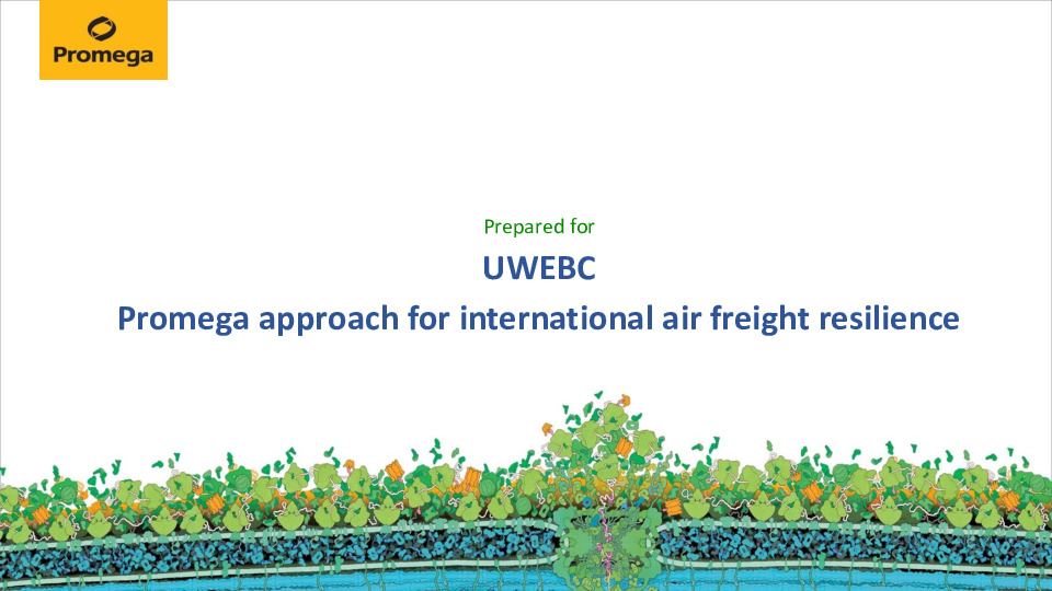 6. Promega Presentation Slides: Promega's Approach for International Air Freight Resilience thumbnail